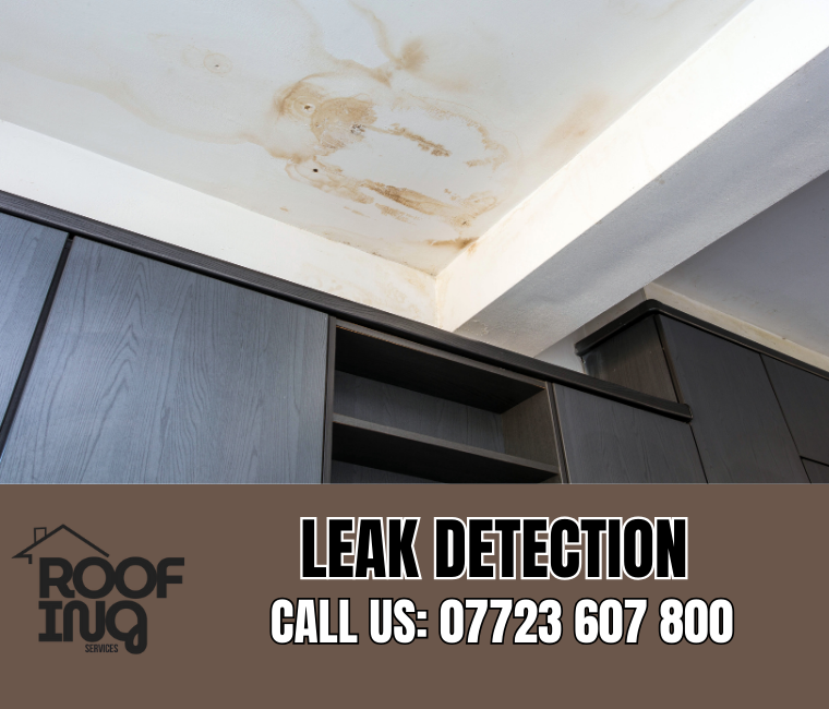 Roof Leak Detection in Camborne